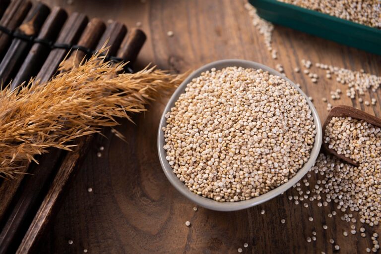 Proteína vegetal: Las mejores fuentes que debes incorporar a tu dieta